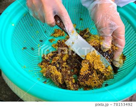 巣蜜　はちみつ　ミツバチ　はちみつ採取 78153492