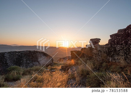 モンサントの朝日 モンサントの朝日 78153588