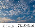 青空に浮かぶ雲（春） 78154310