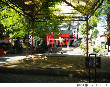 田無神社 田無神社 78155001