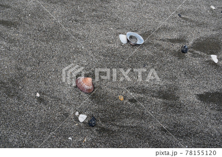 砂浜の貝殻 78155120