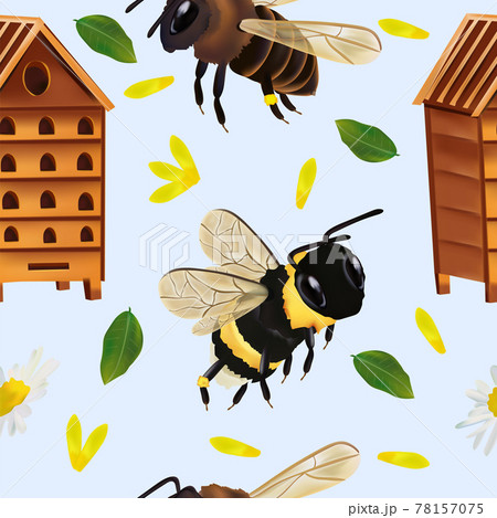 Seamless pattern with Bumble bee, beehive, honey bee, leaf, flower. Seamless pattern for your design. 3d Vector illustration. Seamless pattern with Bumble bee, beehive, honey bee, leaf, flower. Seamless pattern for your design. 3d Vector illustration. 78157075