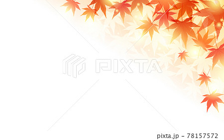 가을 단풍과 빛의 아름다운 벡터 일러스트 프레임 배경 - 스톡일러스트 [78157572] - Pixta