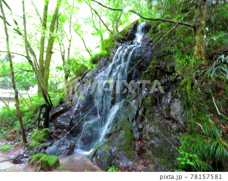 雨の花園神社境内 78157581