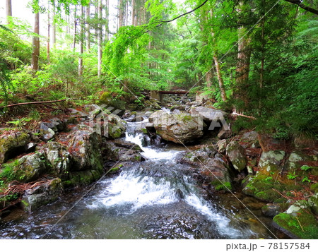 雨の花園渓谷 雨の花園渓谷 78157584