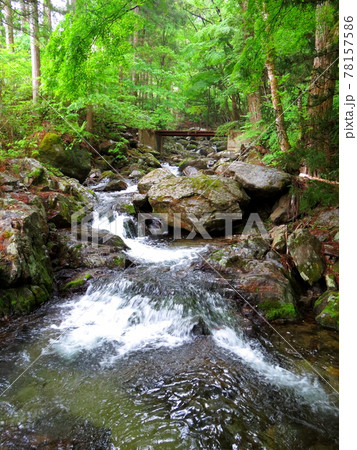 雨の花園渓谷 78157586