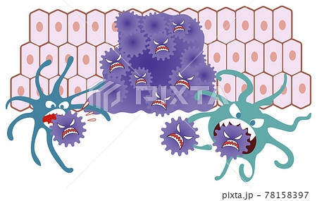 増殖する癌細胞を食べて阻止するマクロファージのイラスト素材