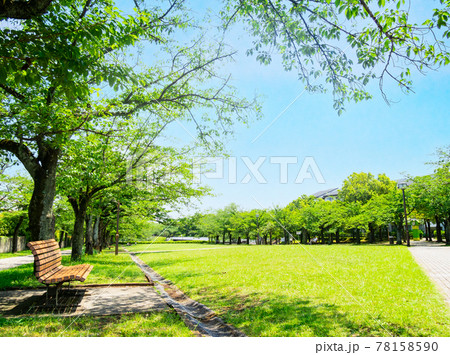 青空と緑の公園 78158590