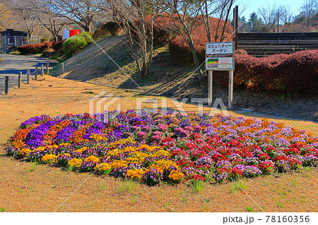 厚木市の萩野運動公園 78160356