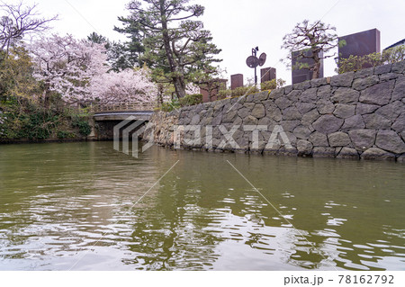 島根県松江市　松江城の堀川めぐり　桜咲く橋の下をくぐる船からの眺め 78162792