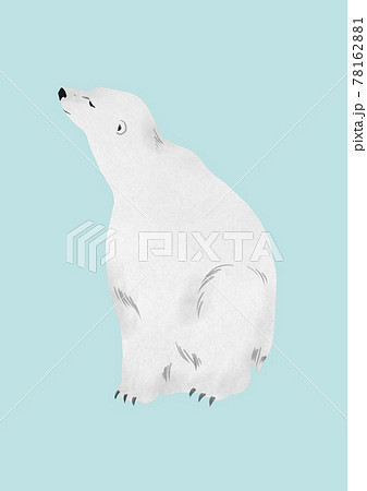 白クマの手描きイラスト 78162881