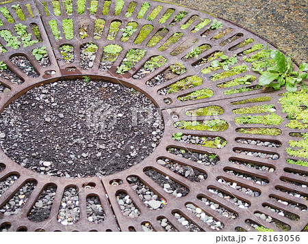 マンホール 78163056