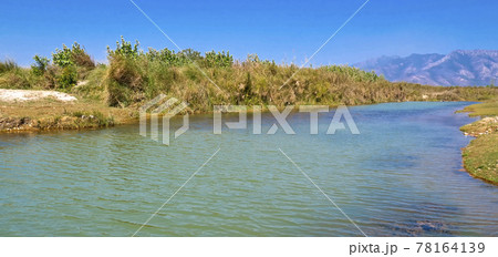 Babai River Landscape, Royal Bardia National Park, Nepal Babai River Landscape, Royal Bardia National Park, Nepal 78164139