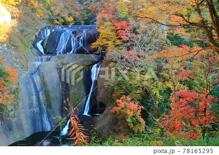袋田の滝 袋田の滝 78165295