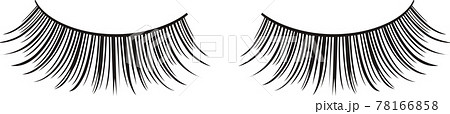 睫毛　エクステンション　つけまつげのベクターイラスト 78166858