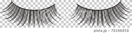 睫毛　エクステンション　つけまつげのベクターイラスト 78166858