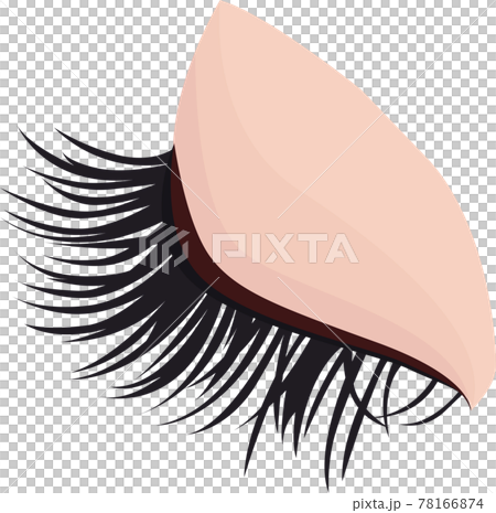 睫毛　エクステンション　つけまつげのベクターイラスト 78166874