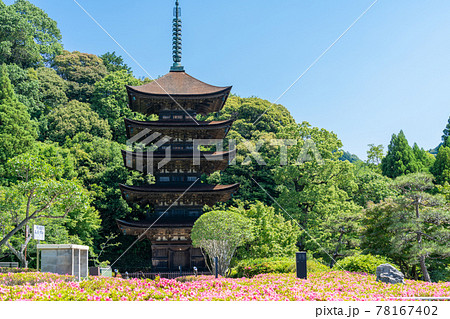 初夏の瑠璃光寺(るりこうじ)五重塔 山口県山口市 初夏の瑠璃光寺(るりこうじ)五重塔 山口県山口市 78167402