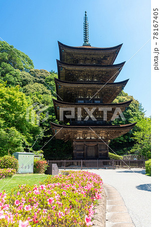 初夏の瑠璃光寺(るりこうじ)五重塔 山口県山口市 初夏の瑠璃光寺(るりこうじ)五重塔 山口県山口市 78167405
