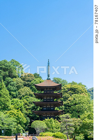 初夏の瑠璃光寺(るりこうじ)五重塔 山口県山口市 初夏の瑠璃光寺(るりこうじ)五重塔 山口県山口市 78167407