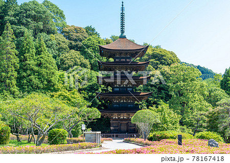 初夏の瑠璃光寺（るりこうじ）五重塔　山口県山口市 78167418
