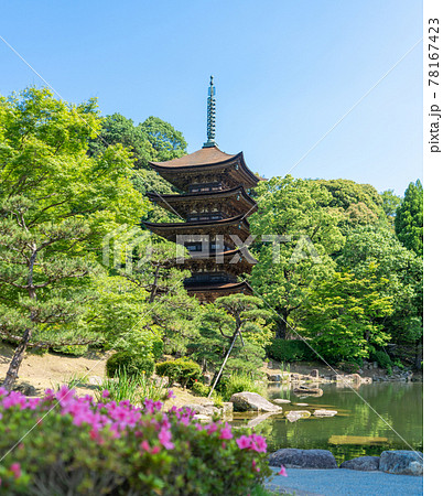 初夏の瑠璃光寺(るりこうじ)五重塔 山口県山口市 初夏の瑠璃光寺(るりこうじ)五重塔 山口県山口市 78167423