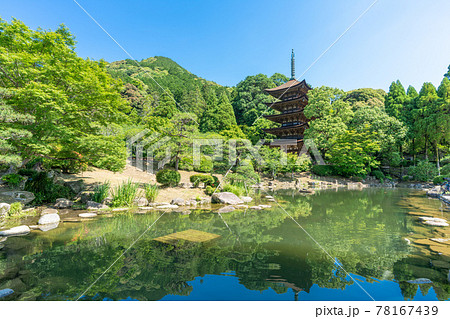 初夏の瑠璃光寺(るりこうじ)五重塔 山口県山口市 初夏の瑠璃光寺(るりこうじ)五重塔 山口県山口市 78167439