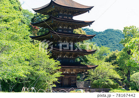 初夏の瑠璃光寺（るりこうじ）五重塔　山口県山口市 78167442