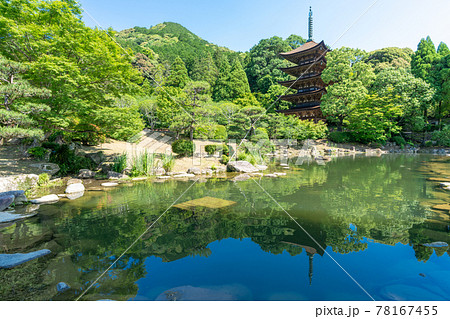 初夏の瑠璃光寺（るりこうじ）五重塔　山口県山口市 78167455