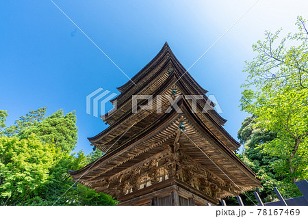 初夏の瑠璃光寺（るりこうじ）五重塔　山口県山口市 78167469