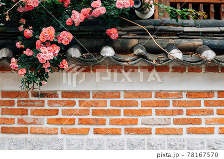 Bukchon Hanok Village, pink rose flowers and brick wall in Seoul, Korea Bukchon Hanok Village, pink rose flowers and brick wall in Seoul, Korea 78167570