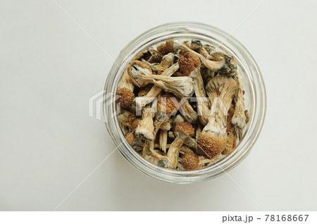 Dry psilocybin mushrooms in glass jar on white background. 78168667