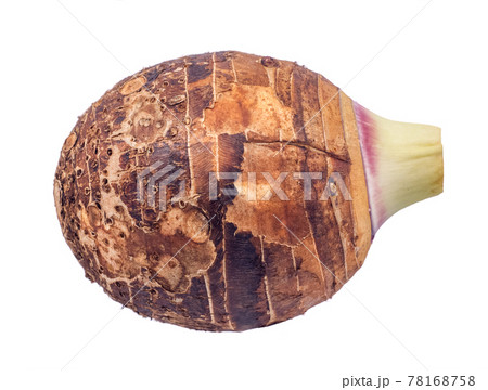 Taro isolated on white background Taro isolated on white background 78168758