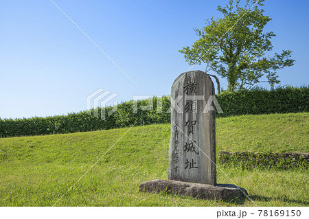 静岡県掛川市西大渕の横須賀城 静岡県掛川市西大渕の横須賀城 78169150