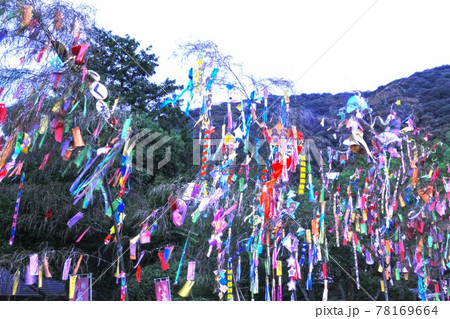 高台寺七夕祭り 高台寺七夕祭り 78169664