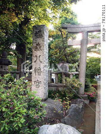 鳩森八幡宮 78170111