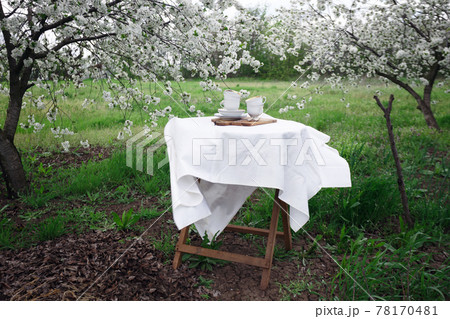 breakfast in the spring garden 78170481