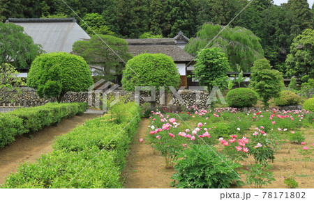 青梅市安楽寺 78171802
