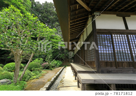 青梅市安楽寺 青梅市安楽寺 78171812