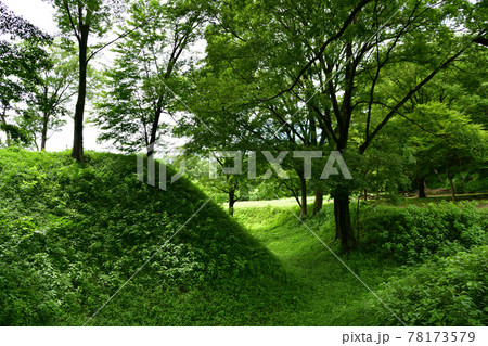 菅谷館跡の出桝形土塁（埼玉県比企郡嵐山町）撮影5月 78173579