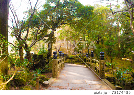 成田山公園の風景 成田山公園の風景 78174489