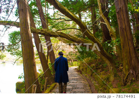 成田山公園の風景 78174491