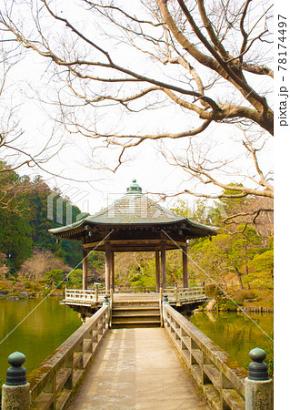 成田山公園の浮御堂 78174497