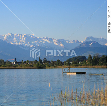Swimming platform in Seegraben, spring scene in Zurich Canton. 78175948