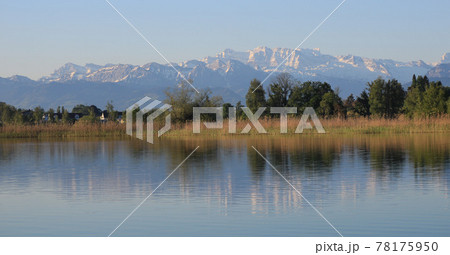 Shore of Lake Pfaffikon and snow covered mountain range. 78175950