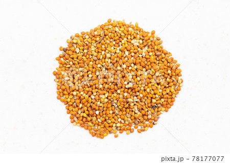 pile of chumiza siberian millet seeds close up pile of chumiza siberian millet seeds close up 78177077