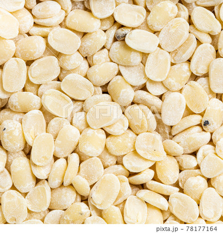 raw urad dal (split black gram) beans close up raw urad dal (split black gram) beans close up 78177164