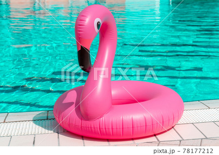 Summer fun isolated. Pink inflatable flamingo in pool water for summer beach background. Funny bird toy for kids. Summer fun isolated. Pink inflatable flamingo in pool water for summer beach background. Funny bird toy for kids. 78177212