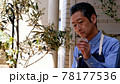 観葉植物の手入れをするシニア男性 78177536