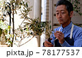 観葉植物の手入れをするシニア男性 78177537